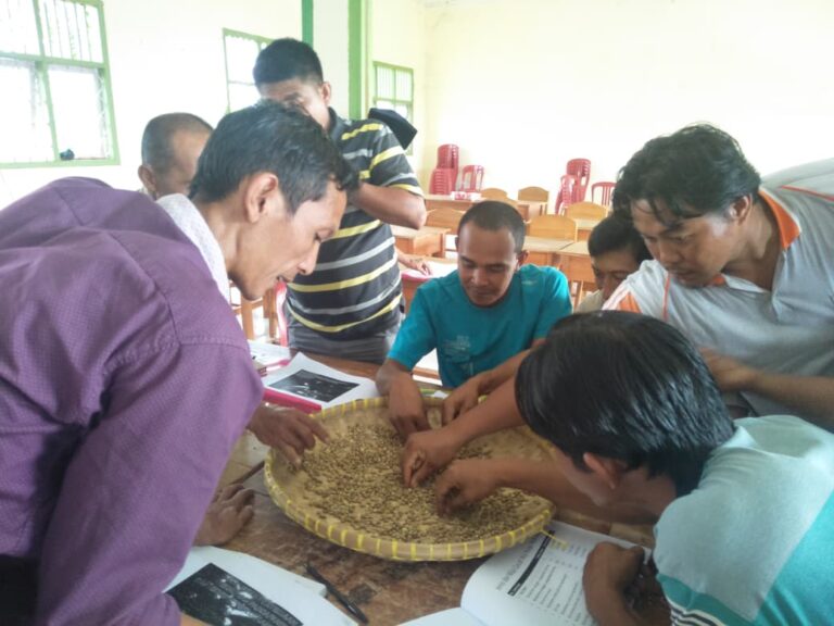 kopi intan