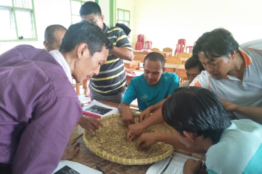 kopi intan